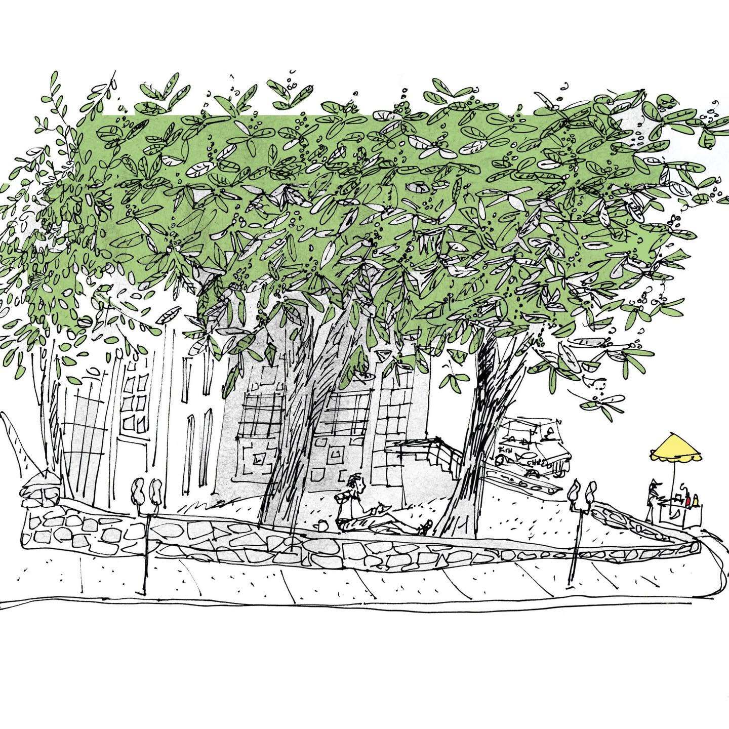 Library Profile Sketch Image Credit Original Drawing by Emma Fitz Gerald