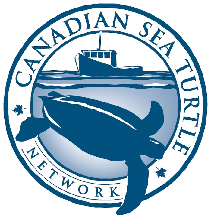 CSTN Logo Canadian Sea Turtle Network