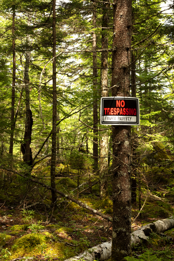 2018 Noc Please Trespass Image Annik Gaudet