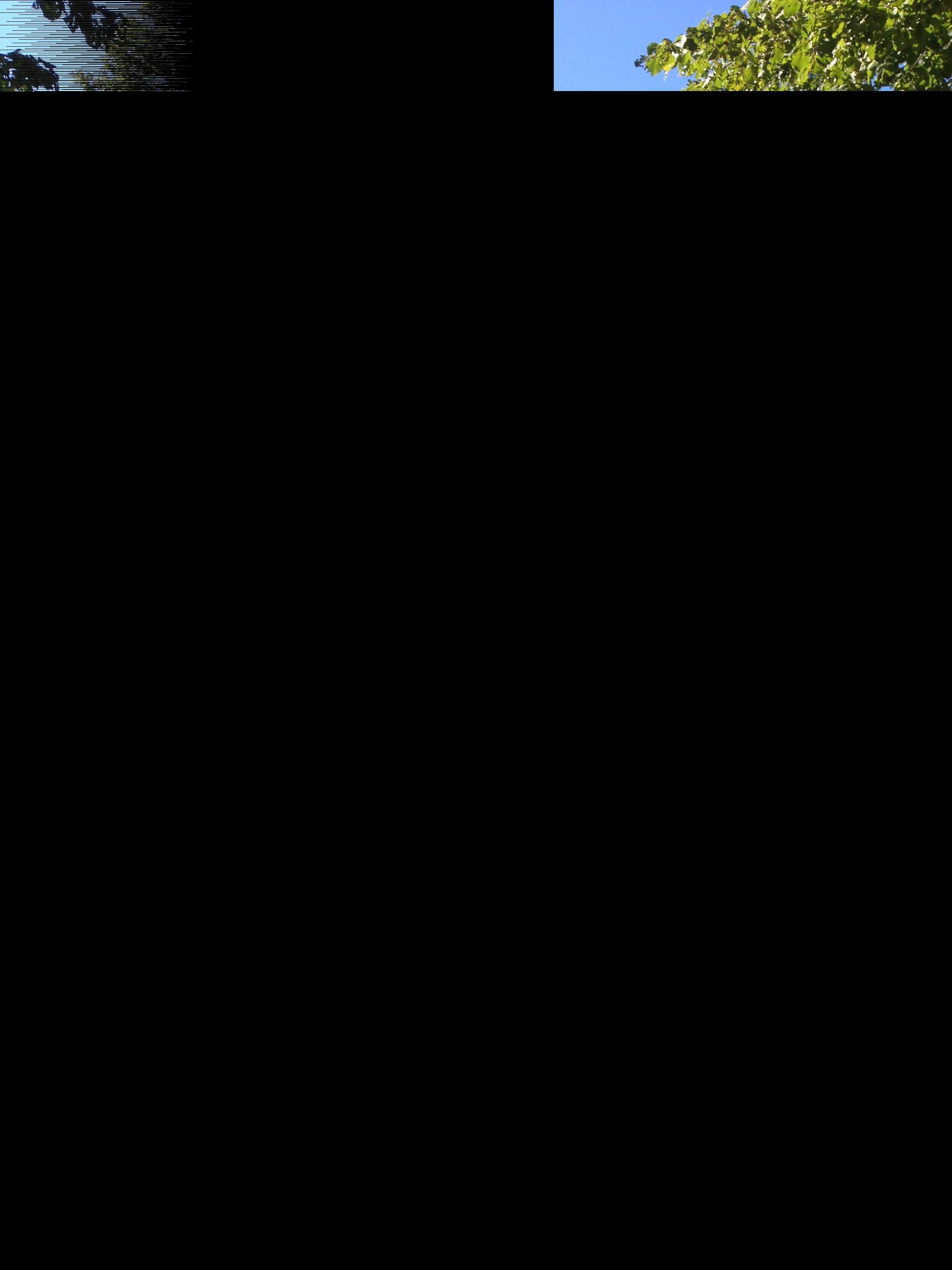 Image1 9