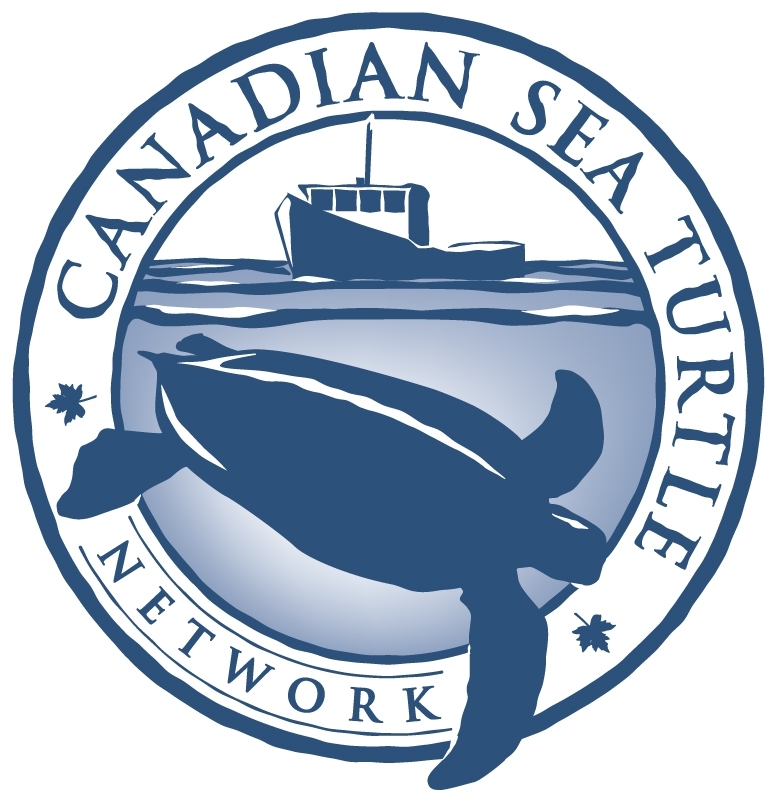 CSTN Logo Canadian Sea Turtle Network