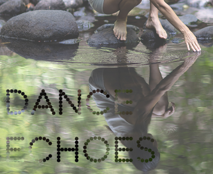 DANCE ECHOES 750 X615 PX