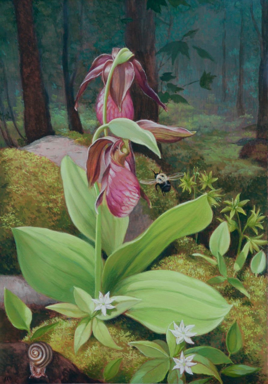 Ordoveza Ladyslippers with Bumblebee