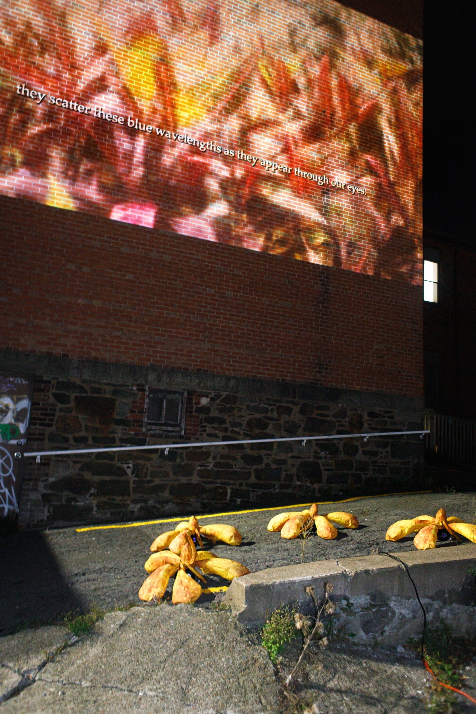 Nocturne 2024 laurence philomene seamus gallagher 6 full res s RGB